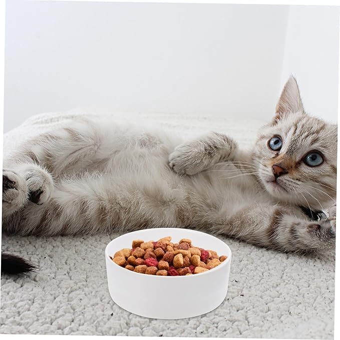 Practical Elevated Dog Bowl Ceramic Cat Feeding Watering Supplies Structure Non-Slip Wooden Shelf