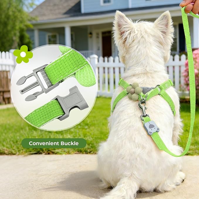 PETCARE Cute Flower Dog Harness and Bowtie Leash Set Easy Walk Puppy Dog Halter Harnesses for Small Dogs Boy Step in Dogs Harness with Buckle (Green, Chest Adjustable 13"-20", Rope Width 0.79")