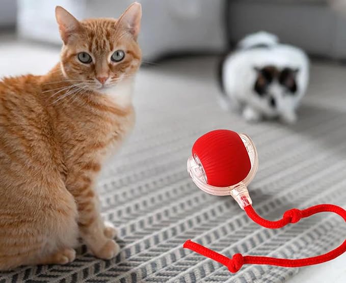 Cat Interactive Ball - Rechargeable, Motion Chase Toy, Self-Moving Kitten Toy for Indoor Playing, Fast on Carpet
