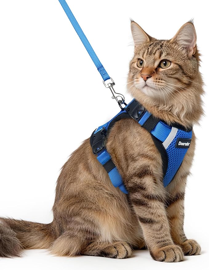 Dooradar Cat Harness and Leash Set, Escape Proof Soft with 3 Adjustable Buckles, Comfortable Vest Easy to Wear Kitten Harness with Reflective Strip, Safe for Outdoor Walking, Royal Blue, M