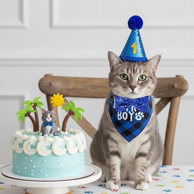 Cat Birthday Hat Set, Small Pet Birthday Party Supplies, Bandana Bow Tie Collar Hat with Number for Cats Kittens Apparel Outfits (Blue)