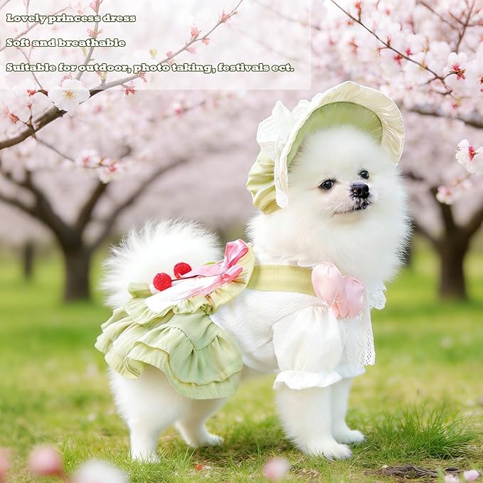 2 Pcs Pet Floral Dress and Lace Sunhat, Summer Skirt with Laces for Dog, Cute Bowknot Dresses for Cat, for Birthday Party and Outdoor Travel (Green, X-Large)