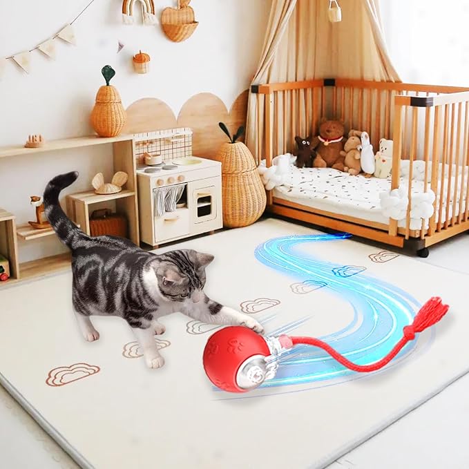Interactive Cat Toy Ball with Red Tassel Tail, 3 Speed Modes Motion Activated Automatic Rolling Ball with Sound On/Off, USB Rechargeable Durable Toys for Cats & Kittens, Indoor Small Dogs