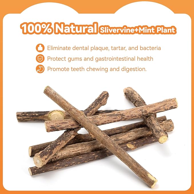 5 Pack Silvervine Sticks for Cats, Natural Cat Chew Toys for Teeth Cleaning, Kitten Teething Toys for Indoor Cats & Aggressive Chewers, Dental Care Slivervine Sticks