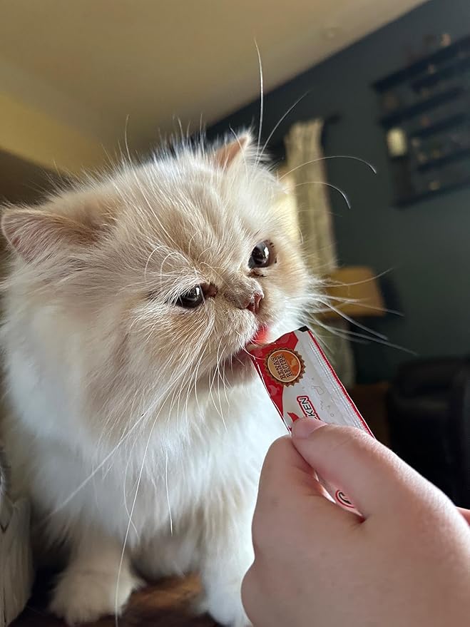 Rena's Recipe Kitty Licks Lickable Cat Treats Chicken Variety Pack 60 Tubes Creamy Cat Treat Purée Grain Free Cat Squeeze Treats Value Pack