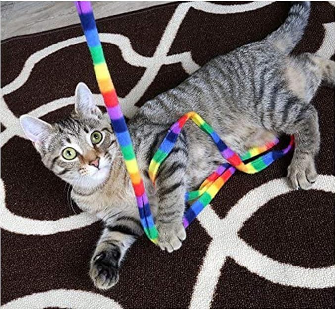 Rainbow Cat Charmer