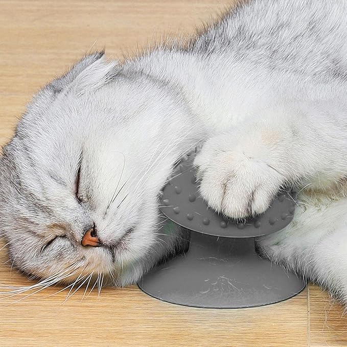 Grey Cat Corner Self Groomer - Remove Loose Fur, Removable Design for Cleaning, Massage Combs for Short and Long Fur, Grooming Brushes for Cats and Kittens