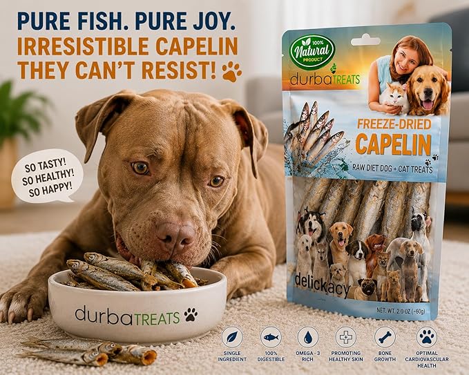 Freeze-Dried Whole Capelin Fish Dog & Cat Treats Single-Ingredient, Protein-Packed Snack Low-Calorie, Grain-Free, Ideal for Sensitive Pets (2 Ounce, Capelin)