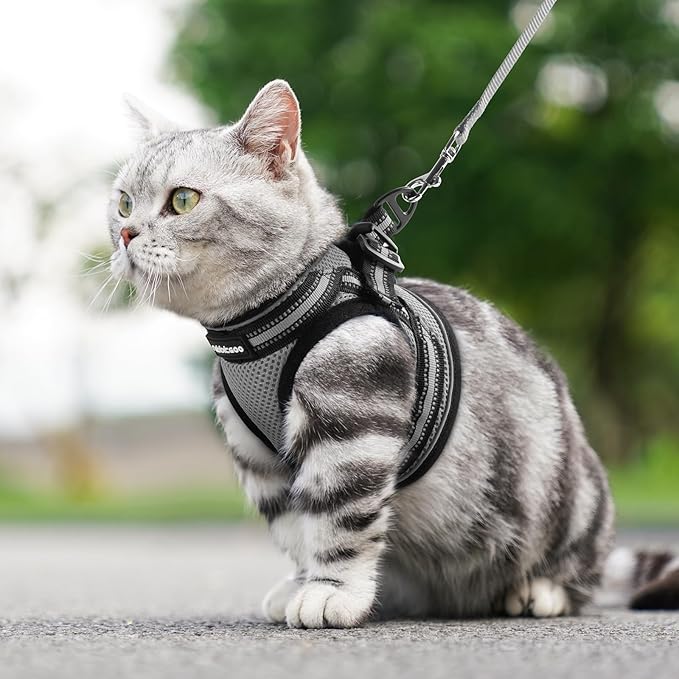rabbitgoo Cat Harness and Leash Set for Walking Escape Proof, Adjustable Soft Kittens Vest with Reflective Strip for Cats, Comfortable Outdoor Vest, Grey, S