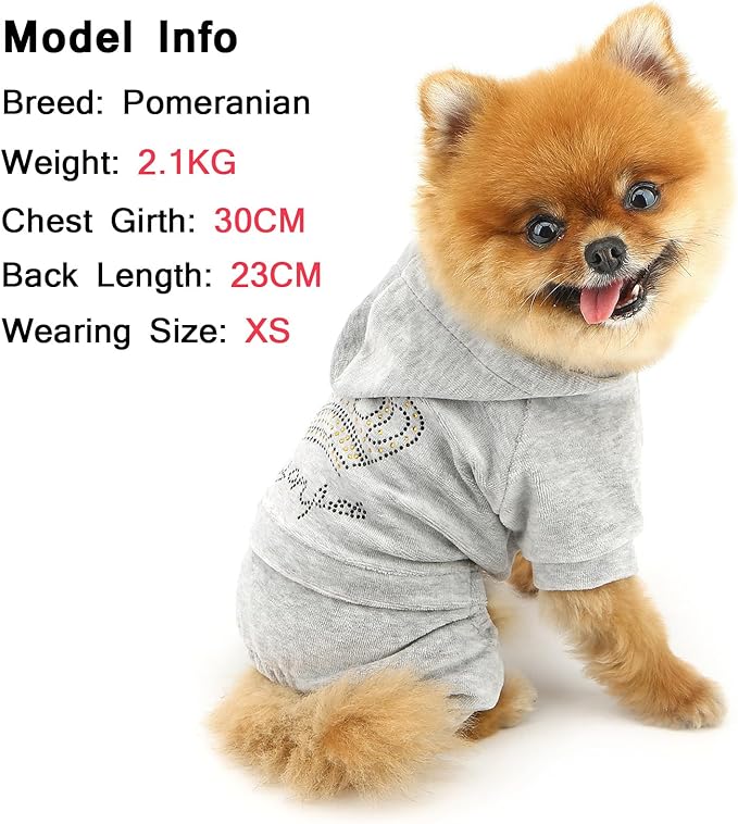 SMALLLEE_LUCKY_STORE Dog Hoodies for Small Dog Girls Rhinestone Crown Doggie Outfits Puppy Pajamas with Leash Hole Stretchy Soft Velvet Clothes 4 Legged Jumpsuit Pet Tracksuit Cat Apparel