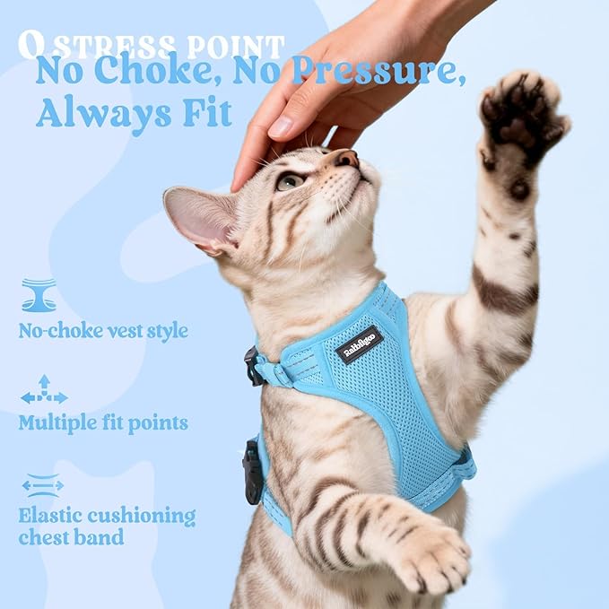 rabbitgoo Cat Harness and Leash, Escape Proof Vest with 3 Adjustable Buckles, Soft Comfortable Kitten Harness, Easy to Wear, Reflective for Safe Outdoor Walking, Small, Sky Blue