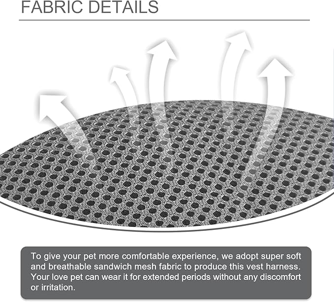 Cat Harness and Leash Set, Escape Proof Adjustable Vest with Leash for Walking with Kittens and Puppies Outdoor, Soft Mesh Jacket with Reflective Strips (M, Grey)