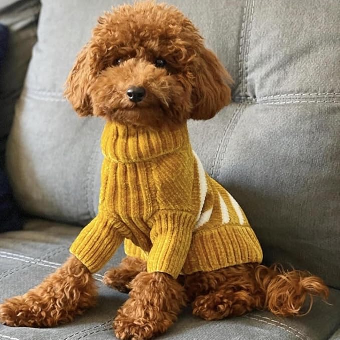 Blueberry Pet Cozy Soft Chenille Classy Striped Dog Sweater in Mustard, Back Length 12", Pack of 1 Clothes for Dogs