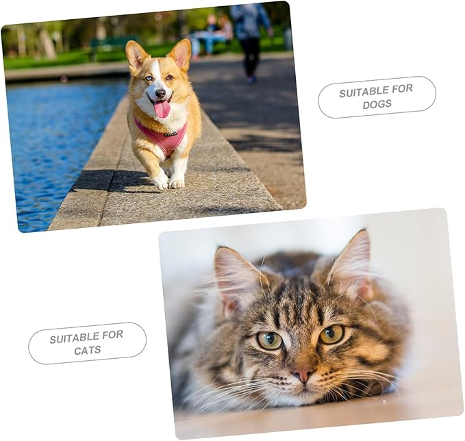 MERRYHAPY Cat Feeding Watering Supplies Automatic Pet Feeder Pet Food Water Dispenser Kitten Food Container