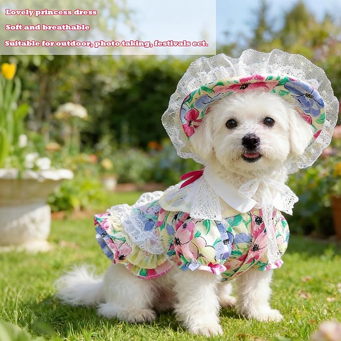 2 Pcs Pet Floral Dress and Lace Sunhat, Summer Skirt with Laces for Dog, Cute Bowknot Dresses for Cat, for Birthday Party and Outdoor Travel (Colorful, X-Small)