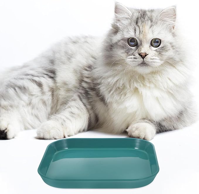HOMSFOU 5pcs Shallow Cat Food Bowls Set Sturdy Non-breakable Pet Feeding Plates for Indoor Cats Mixed Color Suitable for Daily Feeding and Watering Random Color