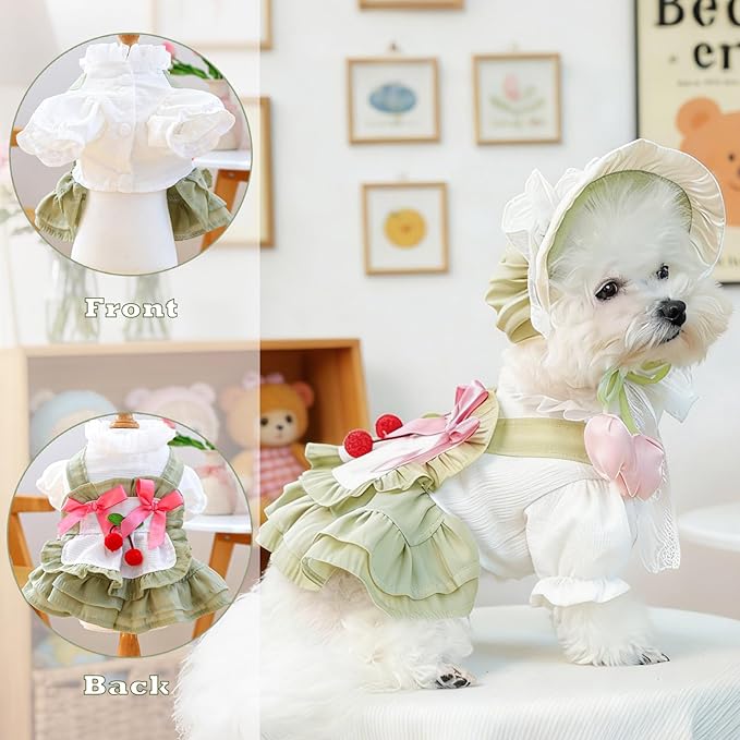 2 Pcs Pet Floral Dress and Lace Sunhat, Summer Skirt with Laces for Dog, Cute Bowknot Dresses for Cat, for Birthday Party and Outdoor Travel (Green, Small)