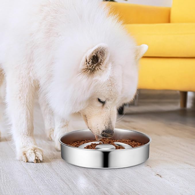 Dog and Cats Slow Feeder Stainless Steel Feeding Bowl to Stop Food Gulping for Small Puppy and Kittens Pet Slow Bowl