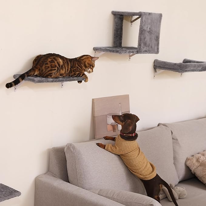 FUKUMARU Cat Wall Shelves, Stable & Safe 4 in 1 Cat Walls Furniture Set, Wooden Kitten Climbing Wall with Scratching Post for 16 Inch Drywall - Beige
