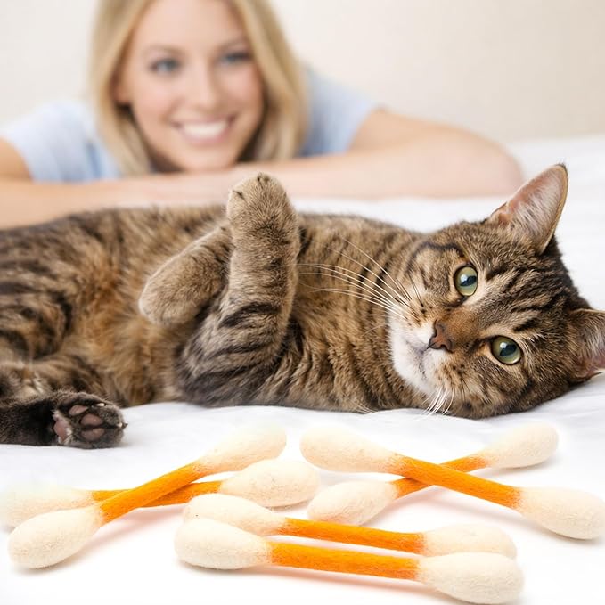 Glaciart One Swabs Cat Toys with Catnip - 6 Pk | Durable for Chew, Cute Cat Toys Interactive Kitty for Boredom, Exercise, & Play | Filled w/Organic Catnip for Anxiety & as Digestive Aid | Gift Idea