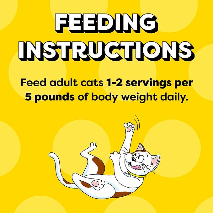 Temptations Pate in Gravy Adult Wet Cat Food Tasty Chicken Entree, Seafood Medley, Backyard Cookout, and Catnip Fever, 3.5 oz. Trays (36 Count, Pack of 1)