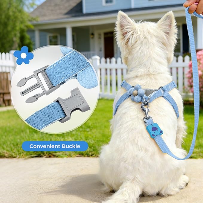 PETCARE Cute Flower Dog Harness and Bowtie Leash Set Easy Walk Puppy Dog Halter Harnesses for Small Dogs Boy Step in Dogs Harness with Buckle (Blue, Chest Adjustable 13"-20", Rope Width 0.79")
