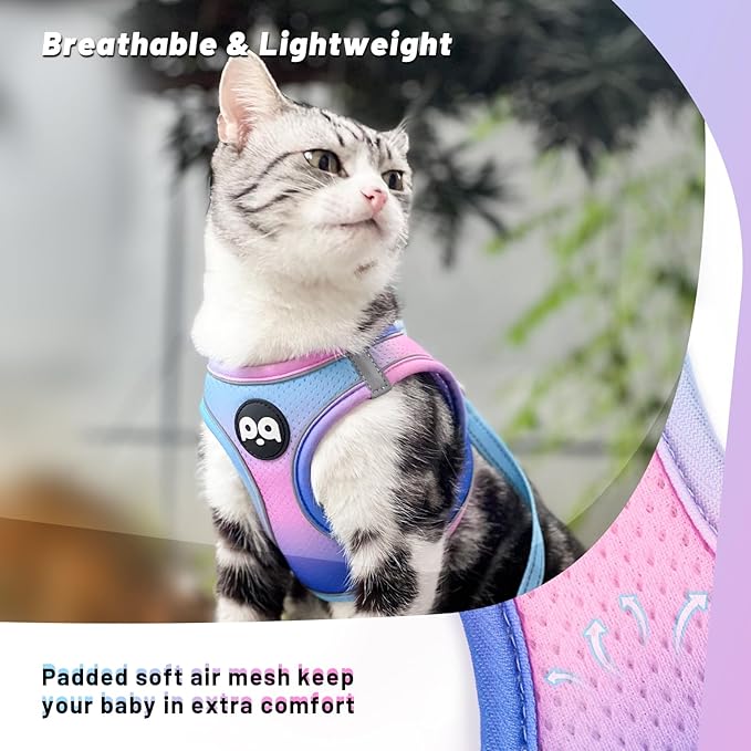 QQPETS Cat Harness and Leash Set for Walking Escape Proof, Safe Adjustable Kitten Vest with Reflective Strips, Easy Control Soft Mesh Lightweight Jacket (Blue-Pink Gradient, M(15.7”-17.7”))