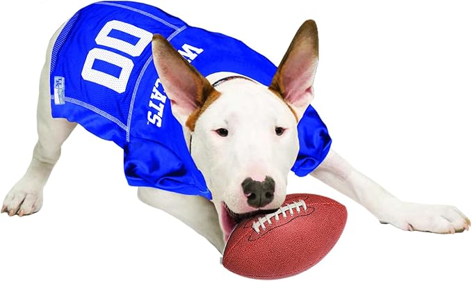 NCAA College University of Kentucky Wildcats Mesh Jersey for Dogs & Cats, Small. Licensed Big Dog Jersey with Your Favorite Football/Basketball College Team (Pack of 2)