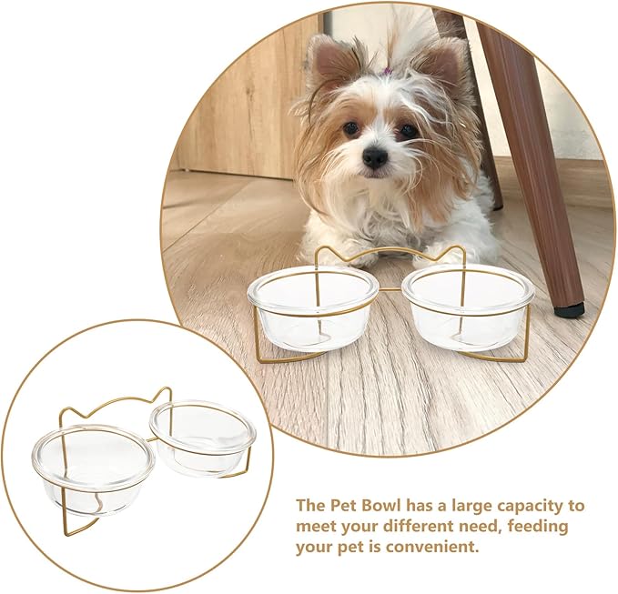 GALPADA Elevated Double Pet Feeder Set with Ceramic Bowls and White Metal Stand, Inclined Raised Cat and Dog Food Bowls for Indoor Feeding and Watering