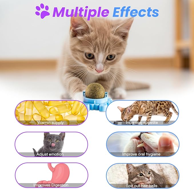 Catnip Balls for Indoor Cats 4 Pack Wall Mounted Rotatable Cat Toys Teeth Cleaning and Stress Relief Adhesive Catnip Stick on Wall Toys Interactive Chew for Kittens Play Entertainment