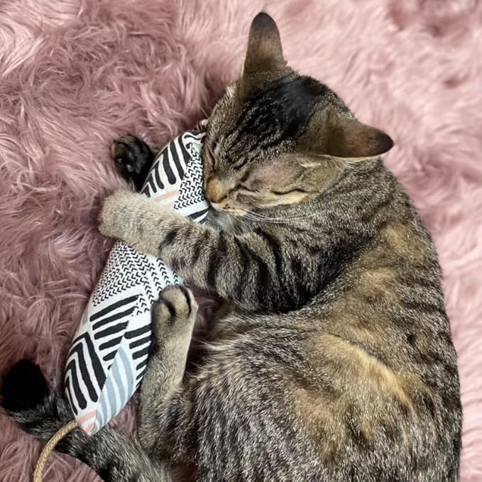Meowy Janes Tough Canvas Cat Kicker Toy, Stuffed with 100% Catnip (1/4 LB), Original, Super Potent Canadian Catnip! | All Natural Large Size 10" Kitty Kicker (Tiger Stripe)