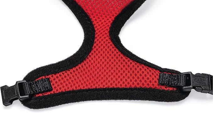 Flamingo Harms Kitten Set of Harness Red/Black, 110 cm x 10 mm