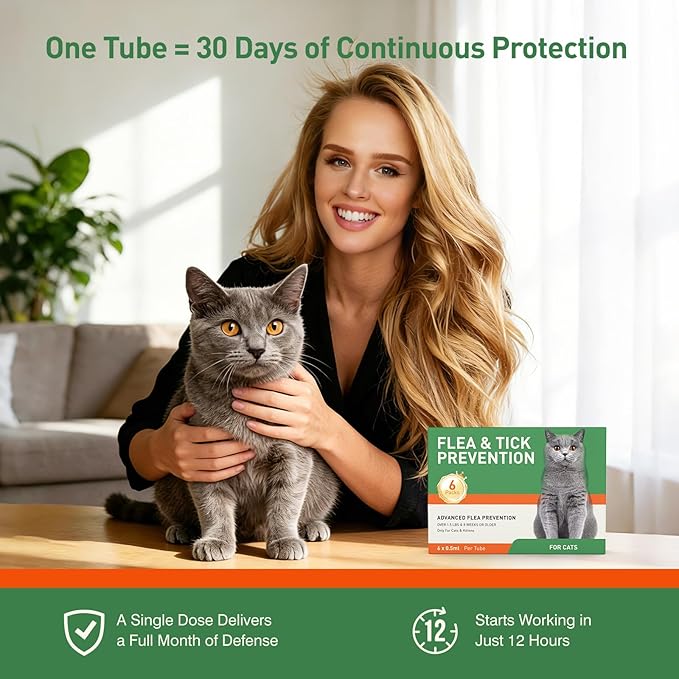 Cat Flea Treatment & Tick Control - Topical Flea Treatment for Cats & Kittens - Protection for Cats Over 1.5 lbs and 8 Weeks or Older, 6 Pack