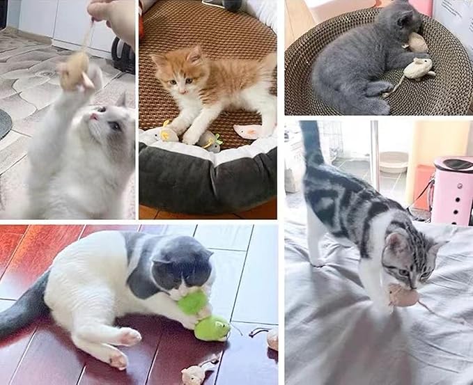 Catnip Toy, Cats Mouse Plush Cat Toys, Cat Mice & Animals Toys for Indoor Cats and Kittens, Cat Chew Toy for Exercise for Pet Cat Kitten Kitty (6 Packs)