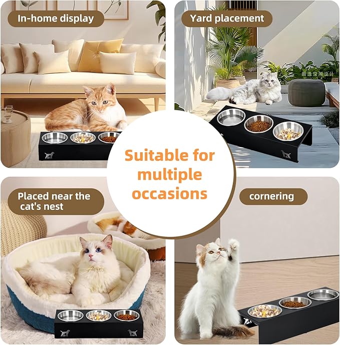 Elevated Cat Food Bowls - 15° Tilted Stainless Steel Cat Bowls, Anti Vomiting Raised Pet Feeder with Non-Slip Metal Base for Indoor Cats, 3 Bowl Set