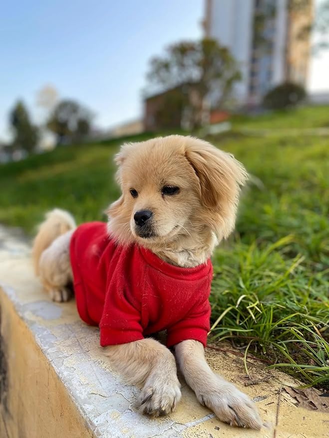 2-Piece Soft Dog & Puppy Sweater - Warm & Cute Winter Outfit for Small Dogs & Cats (Red+Blue, Medium)