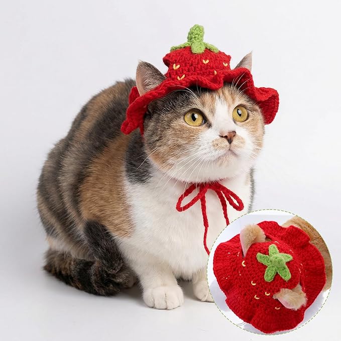 Thinp Strawberry Cat Hat, Cotton & Soft Cute Knitted Hats for Cats Crochet Cat Hat Birthday Holiday Party Christmas Knit Puppy Hats for Small Pets (Red, M)