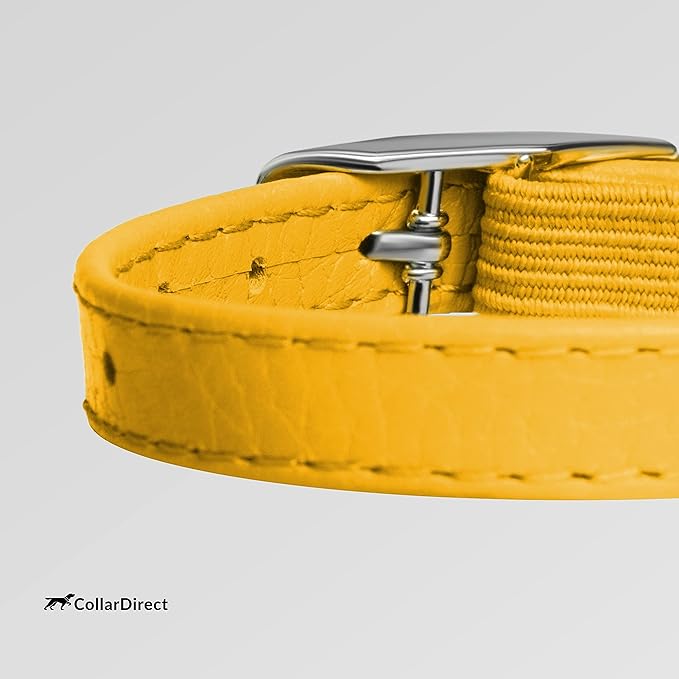 CollarDirect Leather Cat Collar with Removable Bell – Safety Elastic Strap (Breakaway Alternative) – Kitten Collar for Small & Big Boy & Girl Cats