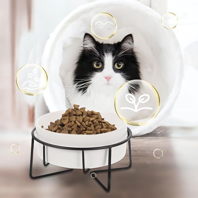 Elevated Cat Food Bowl with Metal Stand, 400ml Ceramic Raised Pet Feeder for Cats and Small Dogs, Non-Slip White Bowl with Black Iron Frame, Suitable for Feeding and Watering