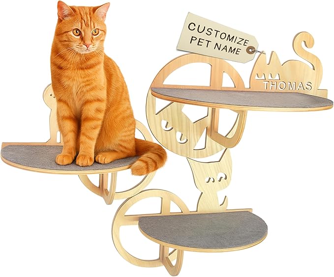 Personalized Wood Cat Shelf Set 3, 3 Bubbles Shelves Wall Mounted, Custom Cat Name Wood Cat Shape Shelves Toy, Wooden Furniture Perch for Sleeping Playing Scratching