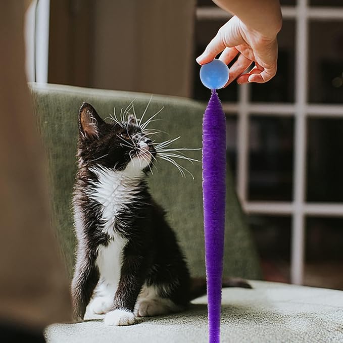 Bouncy Ball with Tail Cat Toys,5 Packs Magic Worm with Ball Toy for Cats,Fuzzy Worm Bouncy Balls Cat Toy