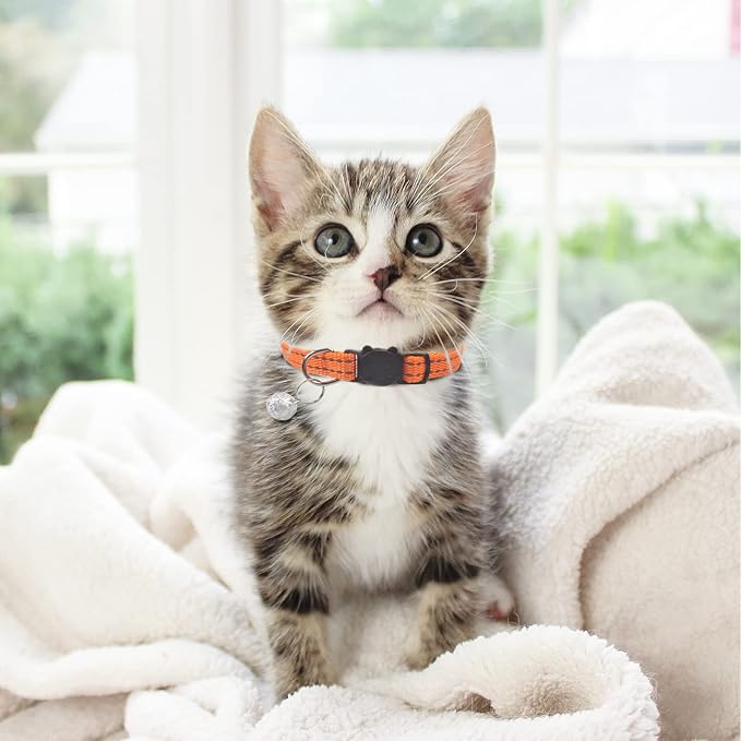 CAMAL 2 Pack Reflective Cat Collar Personalized, Custom Breakaway Cat Collar with Stainless Steel Pet ID Tag, Adjustable Cat Collars with Name and Phone Number for Cat Kitten Puppy