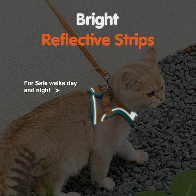 Cat Harness and Leash, Cat Harness Escape Proof, Soft Adjustable Cat Leash Breathable Comfortable Vest Easy to Wear, Easy Walk Leash for Indoor Outdoor (Green+Blue, M)