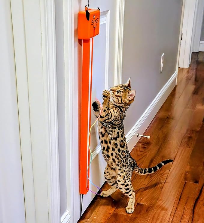 Moody Pet Interactive Cat Toy for Indoor Cats – Fling-AMA-String Automatic, Moving, Flying String Toy for Cats – Battery Operated, Door Hanging Exercise Toy for Kittens & Adult Cats