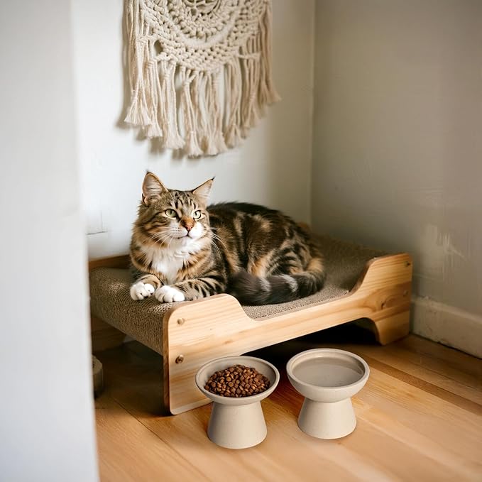 CEEFU Extra Wide Elevated Ceramic Cat Bowl, 6.2" Shallow Dish for Whisker Fatigue Relief, 5" Height for Easy Feeding, Durable Raised Cat Food Bowls, Pack of 2, Pottery Clay (Not Glazed)