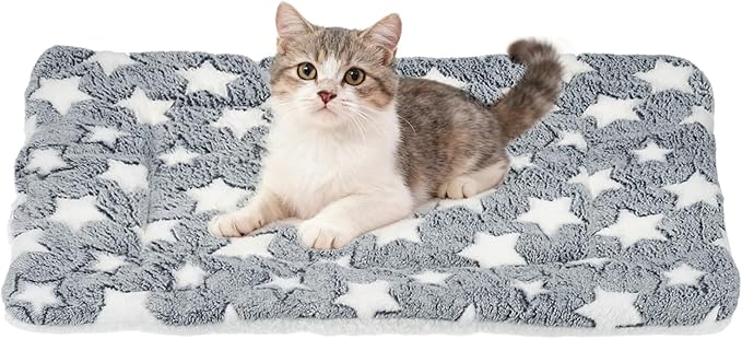Dog Cat Bed Mat, Soft Coral Fleece Pet Cushion Pad with Cute Star Print, Warm Washable Pet Bed 23x18 Inches, (Gray White), Intended for Medium Small Dog Cat