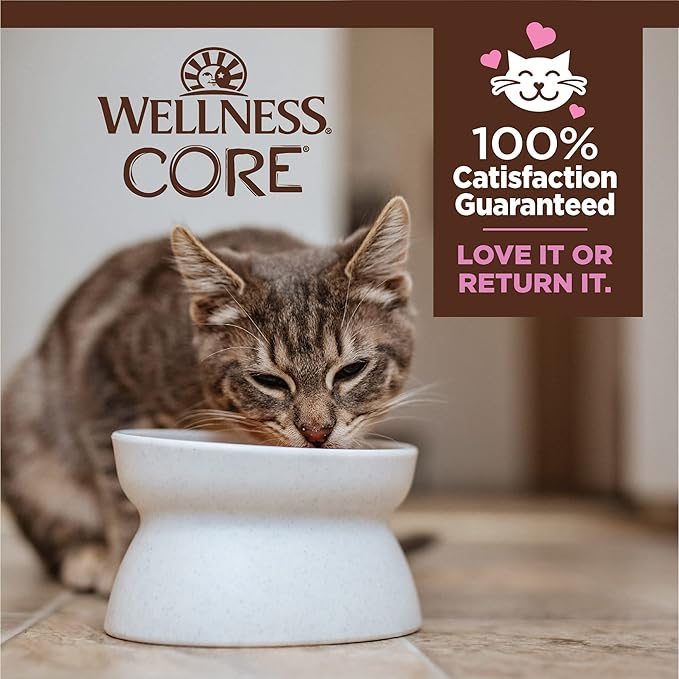 Wellness CORE Tiny Tasters Pate Kitten Wet Cat Food, Natural, Protein Rich, Grain Free, Chicken Recipe, 1.75 oz, Pack of 12 Pouches