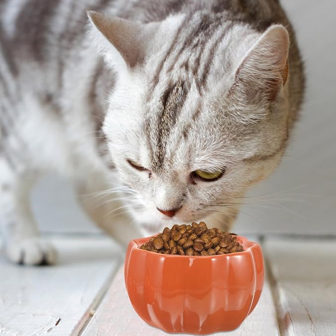 Ceramic Raised Pumpkin Shaped Pet Food Bowl with Elevated Design for Cats and Dogs, Orange Dual Bowls for Feeding and Watering, Neck Protection Pet Feeder Suitable for Travel