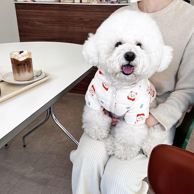 Extra Warm Dogs Jacket Cute with Leash Ring Windproof Puppy Winter Coats for Small Dogs (L (8.8-12lbs))