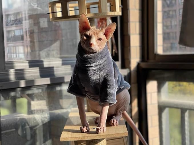 Sphynx Cat Clothes Winter Turtleneck Soft Coral Fleece Cat Clothes Thicken Warm Pajamas Coat for Hairless Cats and Small Cat Apparel with Sleeves (Iron Gray, L (6-9.3lbs)
